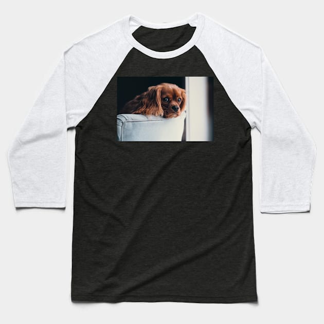 Cavalier King Charles Spaniel Dog Baseball T-Shirt by kawaii_shop